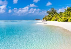 MALDIVE